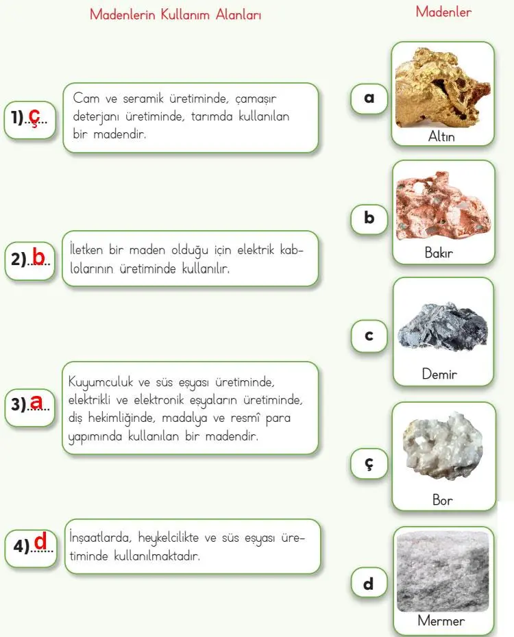 4. Sınıf Fen Bilimleri Ders Kitabı Sayfa 27 Cevapları MEB Yayınları