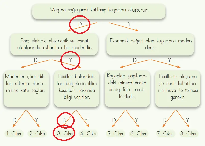 4. Sınıf Fen Bilimleri Ders Kitabı Sayfa 32 Cevapları MEB Yayınları