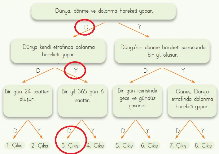 4. Sınıf Fen Bilimleri Ders Kitabı Sayfa 37 Cevapları MEB Yayınları
