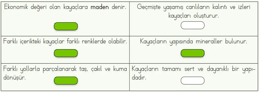 4. Sınıf Fen Bilimleri Ders Kitabı Sayfa 41 Cevapları MEB Yayınları