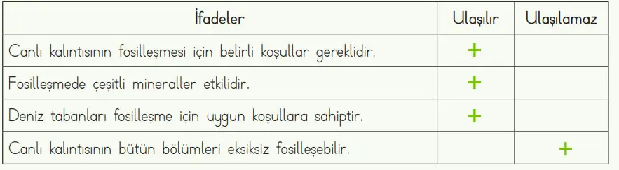 4. Sınıf Fen Bilimleri Ders Kitabı Sayfa 42 Cevapları MEB Yayınları