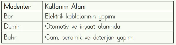 4. Sınıf Fen Bilimleri Ders Kitabı Sayfa 42 Cevapları MEB Yayınları