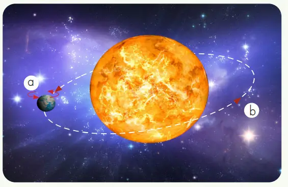 4. Sınıf Fen Bilimleri Ders Kitabı Sayfa 43 Cevapları MEB Yayınları