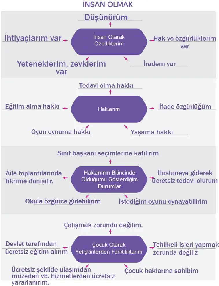 4. Sınıf İnsan Hakları Ders Kitabı Sayfa 21 Cevapları Hecce Yayıncılık