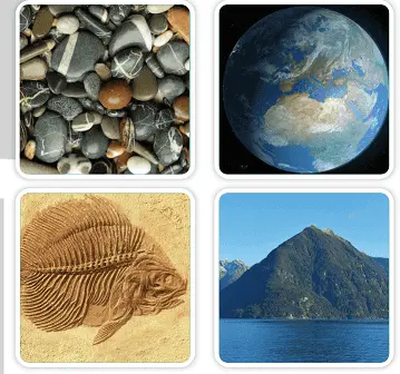 4. Sınıf Pasifik Yayınları Fen Bilimleri Ders Kitabı Cevapları