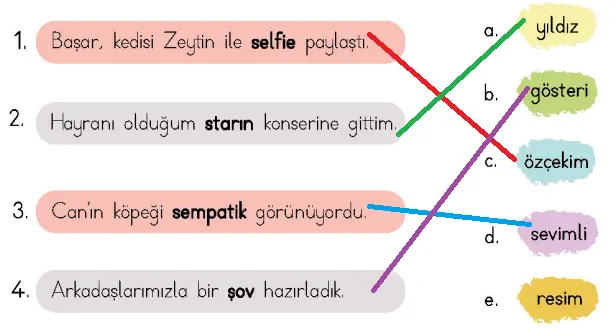 4. Sınıf Türkçe Ders Kitabı Sayfa 15 Cevapları MEB Yayıncılık