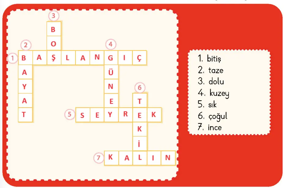 4. Sınıf Türkçe Ders Kitabı Sayfa 21 Cevapları MEB Yayıncılık
