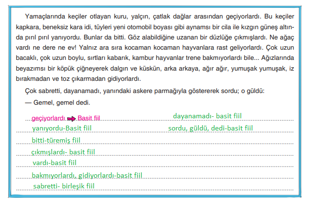 7. Sınıf Türkçe Ders Kitabı Cevapları Sayfa 30 Dörtel Yayıncılık