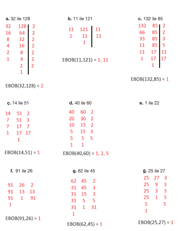 8. Sınıf Matematik Ders Kitabı Sayfa 28 Cevapları Berkay Yayıncılık