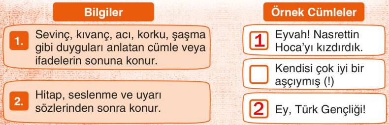 3. Sınıf Türkçe Ders Kitabı Sayfa 113 Cevapları Sonuç Yayınları