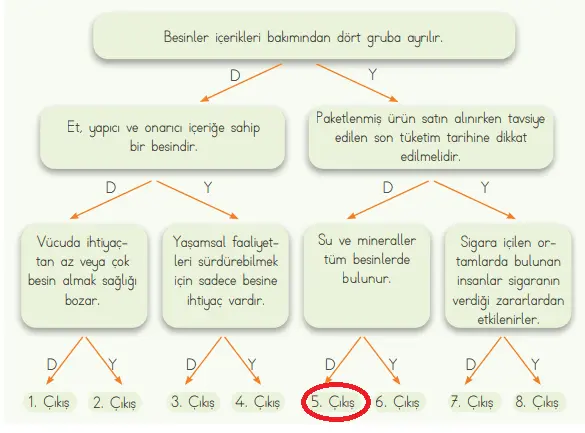 4. Sınıf Fen Bilimleri Ders Kitabı Sayfa 67 Cevapları MEB Yayınları