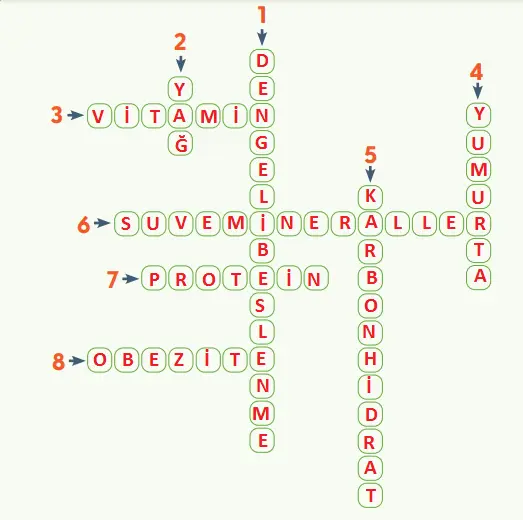 4. Sınıf Fen Bilimleri Ders Kitabı Sayfa 68 Cevapları MEB Yayınları