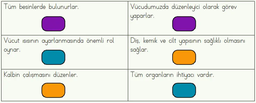4. Sınıf Fen Bilimleri Ders Kitabı Sayfa 70 Cevapları MEB Yayınları
