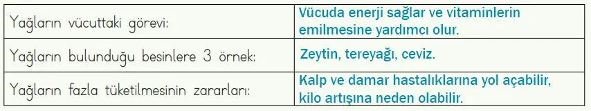 4. Sınıf Fen Bilimleri Ders Kitabı Sayfa 71 Cevapları MEB Yayınları