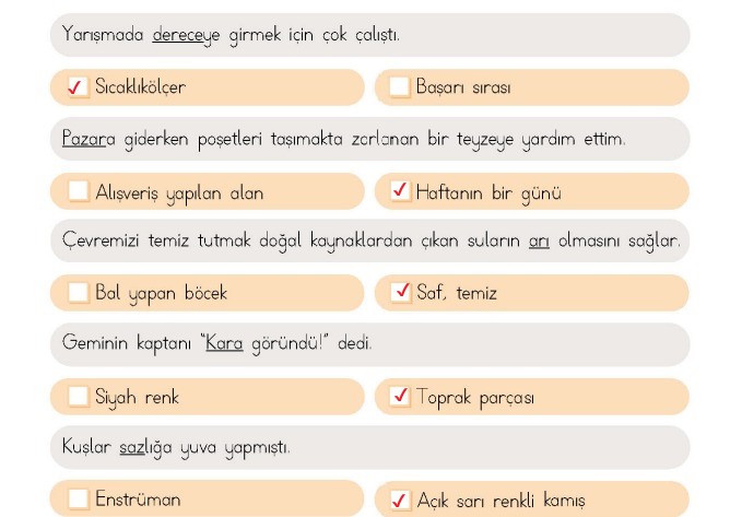 4. Sınıf Türkçe Ders Kitabı Sayfa 49 Cevapları MEB Yayıncılık