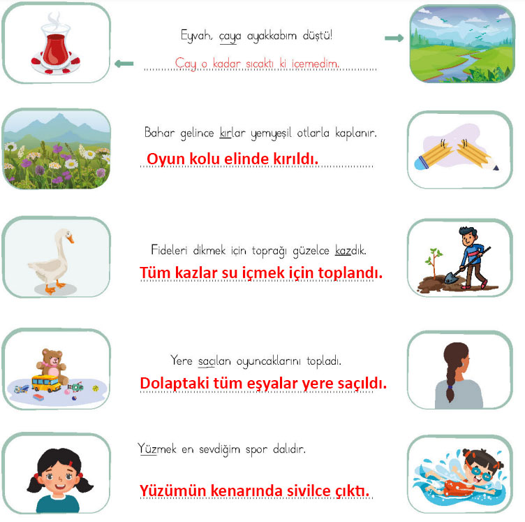 4. Sınıf Türkçe Ders Kitabı Sayfa 67 Cevapları MEB Yayınları