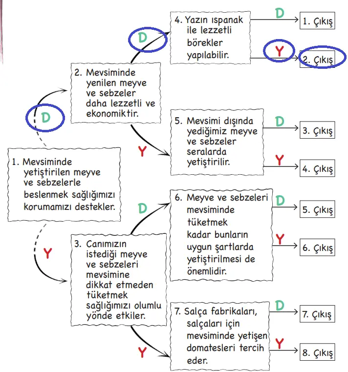3. Sınıf Hayat Bilgisi Ders Kitabı 99-101-102. Sayfa Cevapları MEB Yayınları 3. Sınıf Hayat Bilgisi Ders Kitabı Sayfa 102 Cevapları MEB Yayınları