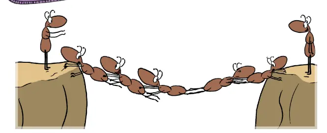 3. Sınıf Hayat Bilgisi Ders Kitabı 34-36-37-38. Sayfa Cevapları MEB Yayınları 3. Sınıf Hayat Bilgisi Ders Kitabı Sayfa 38 Cevapları MEB Yayınları