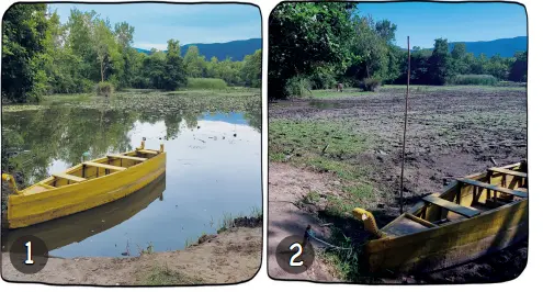 3. Sınıf Hayat Bilgisi Ders Kitabı Sayfa 91 Cevapları MEB Yayınları