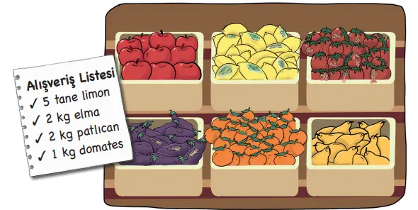 3. Sınıf Hayat Bilgisi Ders Kitabı 95-97-98. Sayfa Cevapları MEB Yayınları 3. Sınıf Hayat Bilgisi Ders Kitabı Sayfa 95 Cevapları MEB Yayınları