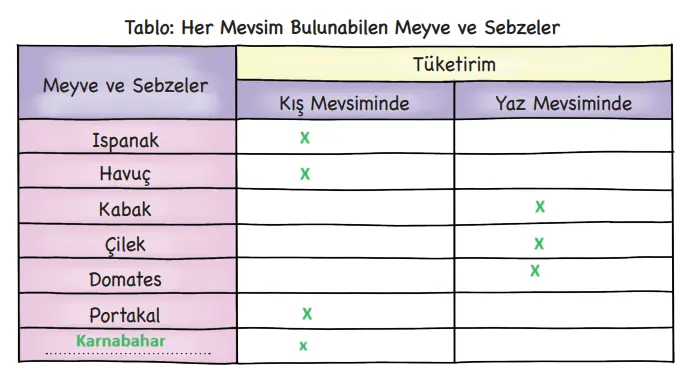 3. Sınıf Hayat Bilgisi Ders Kitabı 99-101-102. Sayfa Cevapları MEB Yayınları 3. Sınıf Hayat Bilgisi Ders Kitabı Sayfa 99 Cevapları MEB Yayınları