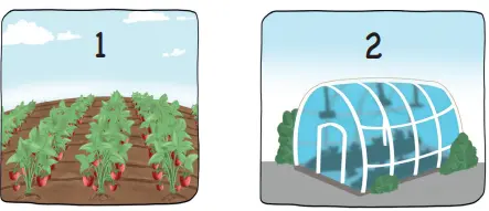 3. Sınıf Hayat Bilgisi Ders Kitabı 99-101-102. Sayfa Cevapları MEB Yayınları 3. Sınıf Hayat Bilgisi Ders Kitabı Sayfa 99 Cevapları MEB Yayınları