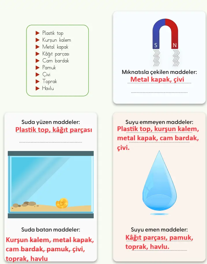 4. Sınıf Fen Bilimleri Ders Kitabı Sayfa 100 Cevapları MEB Yayınları