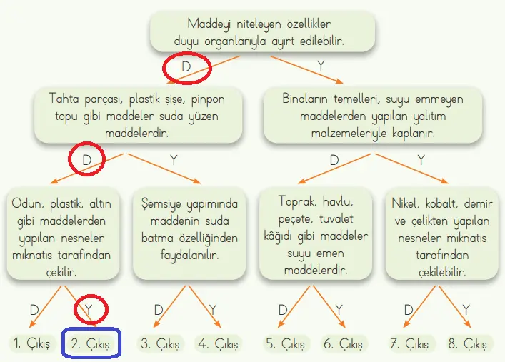 4. Sınıf Fen Bilimleri Ders Kitabı Sayfa 102 Cevapları MEB Yayınları