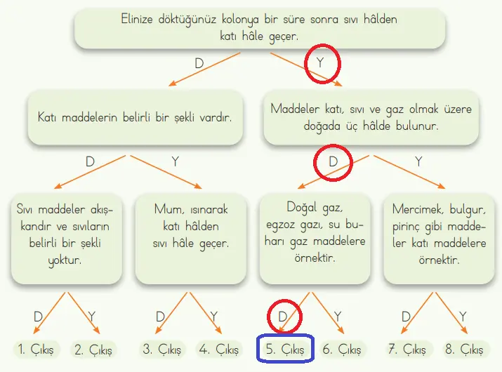 4. Sınıf Fen Bilimleri Ders Kitabı Sayfa 115 Cevapları MEB Yayınları