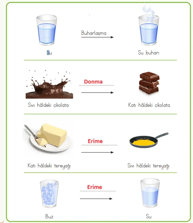 4. Sınıf Fen Bilimleri Ders Kitabı 116-117-118-120-121-122-123. Sayfa Cevapları MEB Yayınları 4. Sınıf Fen Bilimleri Ders Kitabı Sayfa 120 Cevapları MEB Yayınları