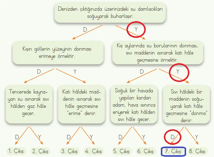 4. Sınıf Fen Bilimleri Ders Kitabı 116-117-118-120-121-122-123. Sayfa Cevapları MEB Yayınları 4. Sınıf Fen Bilimleri Ders Kitabı Sayfa 123 Cevapları MEB Yayınları