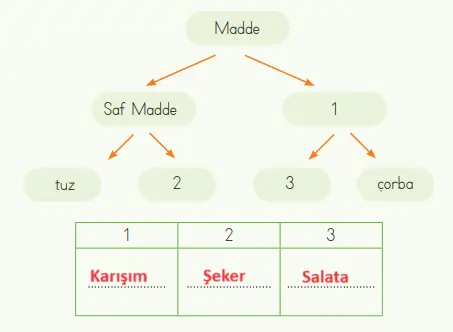 4. Sınıf Fen Bilimleri Ders Kitabı Sayfa 131 Cevapları MEB Yayınları1