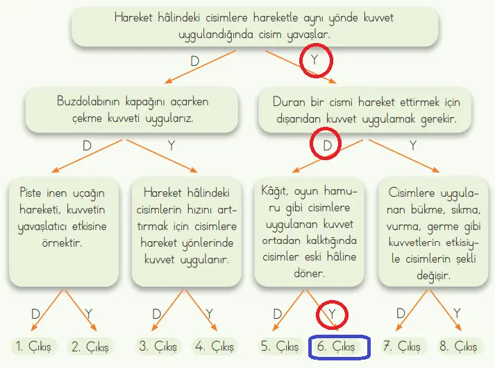 4. Sınıf Fen Bilimleri Ders Kitabı Sayfa 79 Cevapları MEB Yayınları