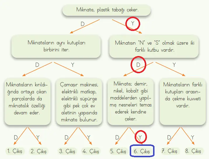 4. Sınıf Fen Bilimleri Ders Kitabı Sayfa 89 Cevapları MEB Yayınları