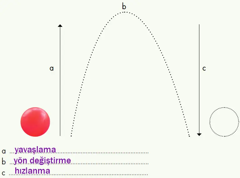4. Sınıf Fen Bilimleri Ders Kitabı Sayfa 94 Cevapları MEB Yayınları