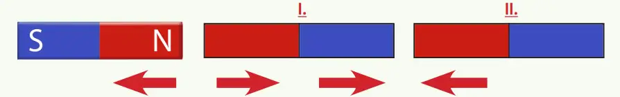 4. Sınıf Fen Bilimleri Ders Kitabı Sayfa 95 Cevapları MEB Yayınları
