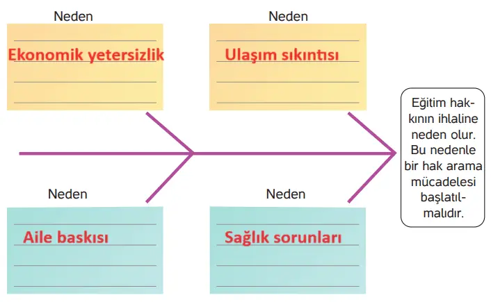 4. Sınıf İnsan Hakları Ders Kitabı Sayfa 33 Cevapları Hecce Yayıncılık