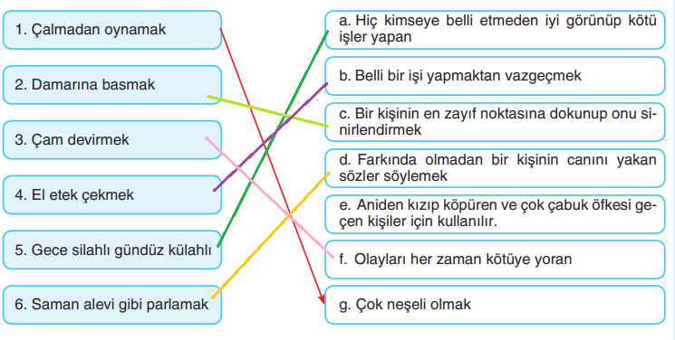 6. Sınıf Türkçe Ders Kitabı Sayfa 140 Cevapları ANKA Yayınevi