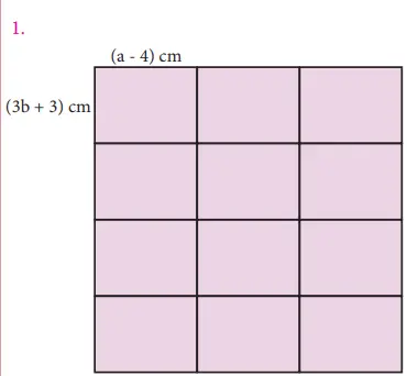 7. Sınıf Matematik Ders Kitabı Sayfa 113 Cevapları MEB Yayınları