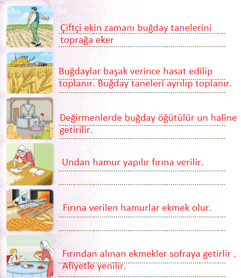 3. Sınıf Türkçe Ders Kitabı Sayfa 132 Cevapları Sonuç Yayınları