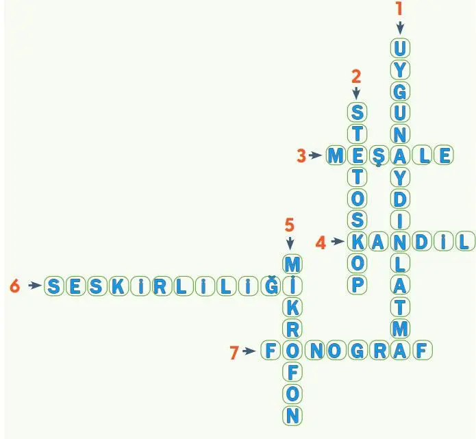4. Sınıf Fen Bilimleri Ders Kitabı Sayfa 167 Cevapları MEB Yayınları