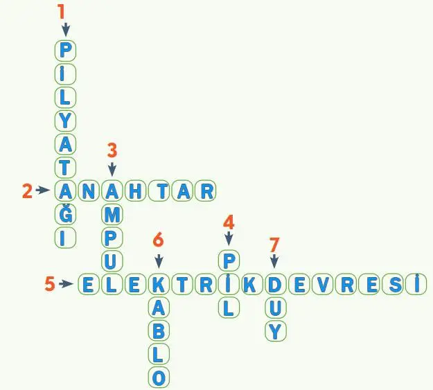 4. Sınıf Fen Bilimleri Ders Kitabı Sayfa 198 Cevapları MEB Yayınları