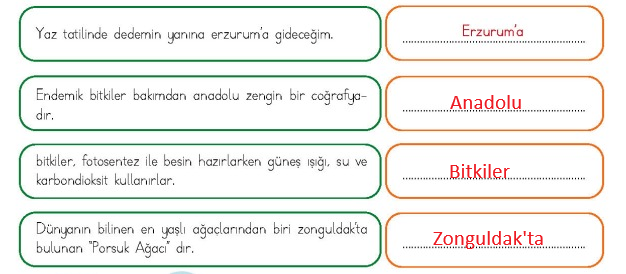 4. Sınıf Türkçe Ders Kitabı Sayfa 148 Cevapları MEB Yayınları