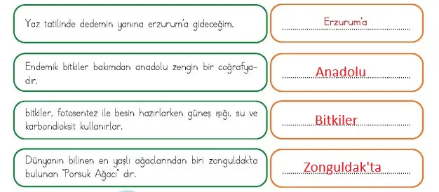4. Sınıf Türkçe Ders Kitabı Sayfa 148 Cevapları MEB Yayınları