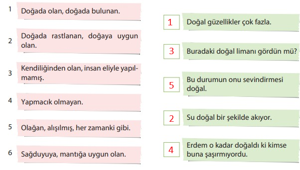 5. Sınıf Türkçe Ders Kitabı Sayfa 159 Cevapları KOZA Yayınları