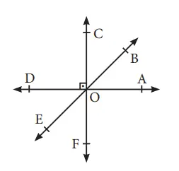 7. Sınıf Matematik Ders Kitabı Sayfa 150 Cevapları MEB Yayınları