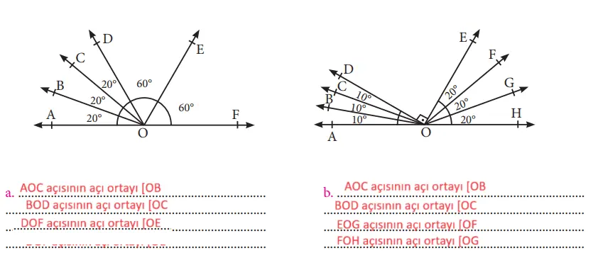 7. Sınıf Matematik Ders Kitabı Sayfa 154 Cevapları MEB Yayınları