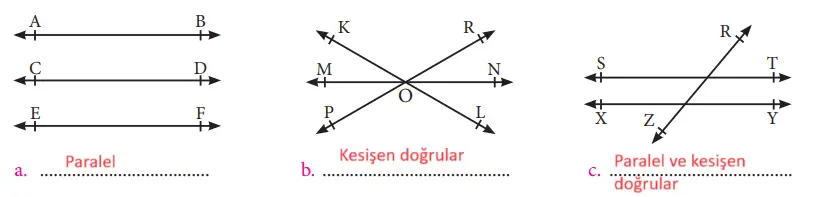 7. Sınıf Matematik Ders Kitabı Sayfa 163 Cevapları MEB Yayınları
