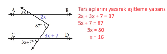 7. Sınıf Matematik Ders Kitabı Sayfa 164 Cevapları MEB Yayınları