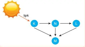 8. Sınıf Fen Bilimleri Ders Kitabı Sayfa 192 Cevapları ATA Yayıncılık